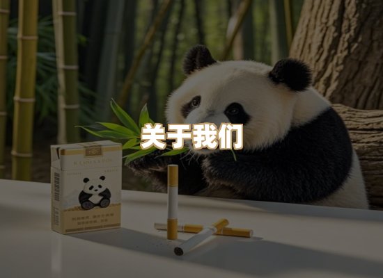 关于御龙烟网